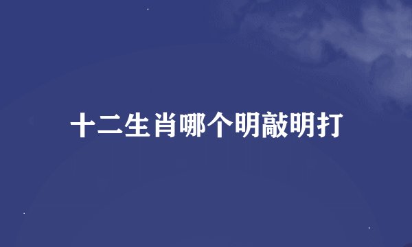 十二生肖哪个明敲明打