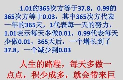 1'1是多少？