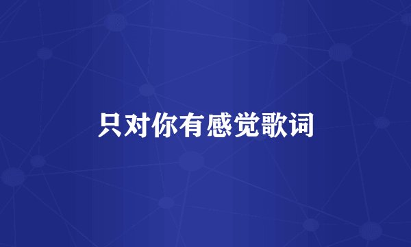 只对你有感觉歌词