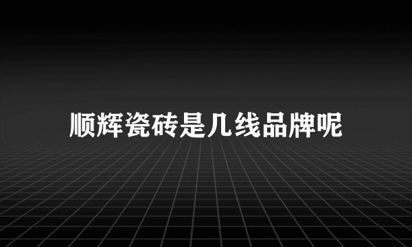 顺辉瓷砖是几线品牌呢