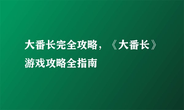 大番长完全攻略，《大番长》游戏攻略全指南
