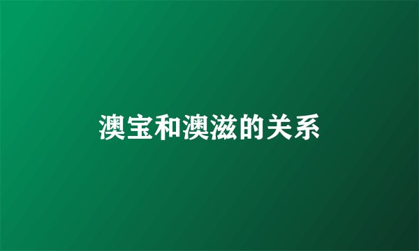 澳宝和澳滋的关系