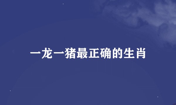 一龙一猪最正确的生肖