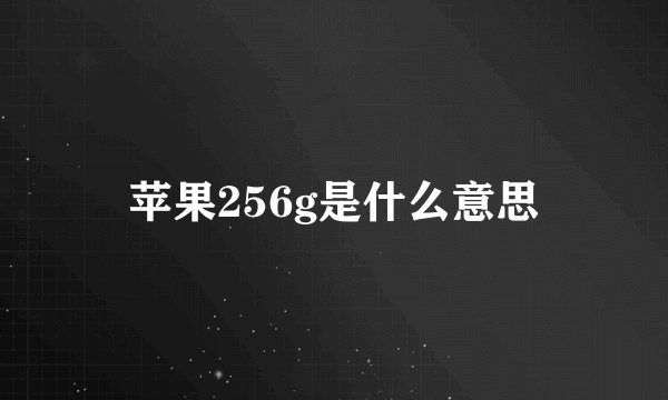 苹果256g是什么意思