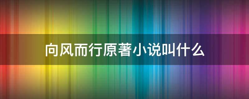 向风而行的原著小说是什么?