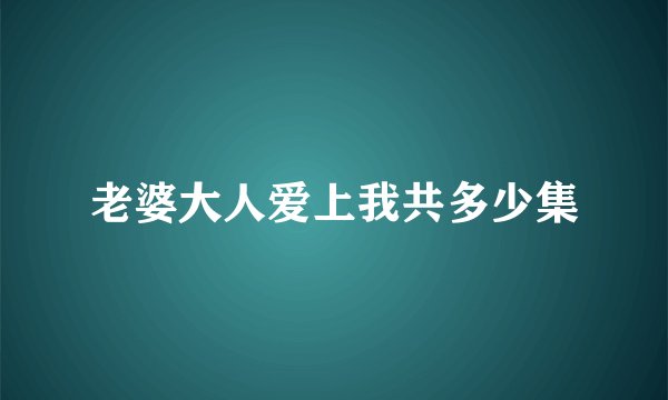 老婆大人爱上我共多少集