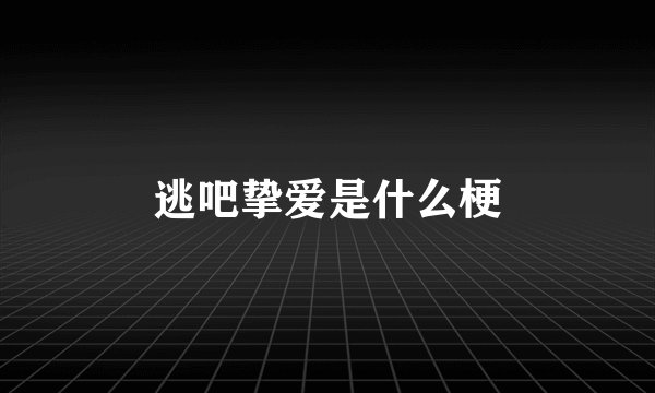 逃吧挚爱是什么梗