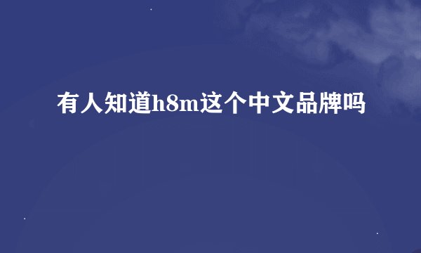 有人知道h8m这个中文品牌吗