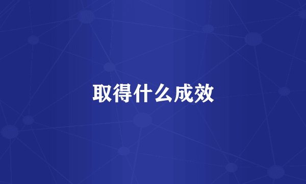 取得什么成效