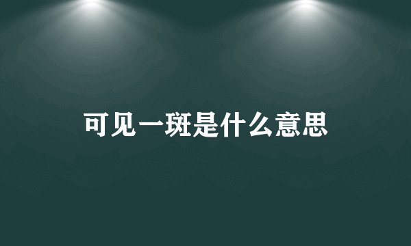 可见一斑是什么意思