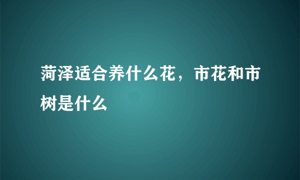菏泽适合养什么花，市花和市树是什么