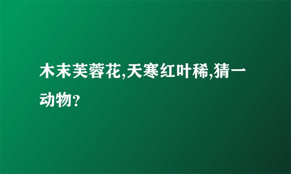木末芙蓉花,天寒红叶稀,猜一动物？
