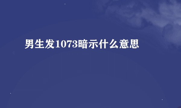 男生发1073暗示什么意思