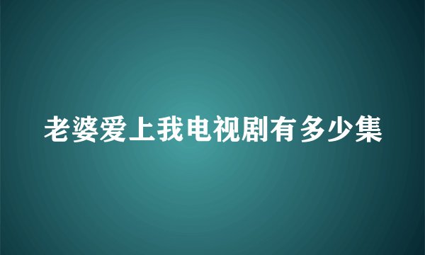 老婆爱上我电视剧有多少集