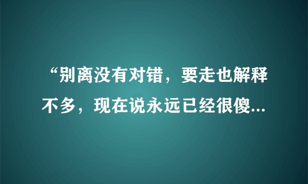 “别离没有对错，要走也解释不多，现在说永远已经很傻”这个歌叫什么名字