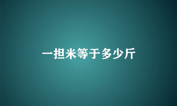 一担米等于多少斤