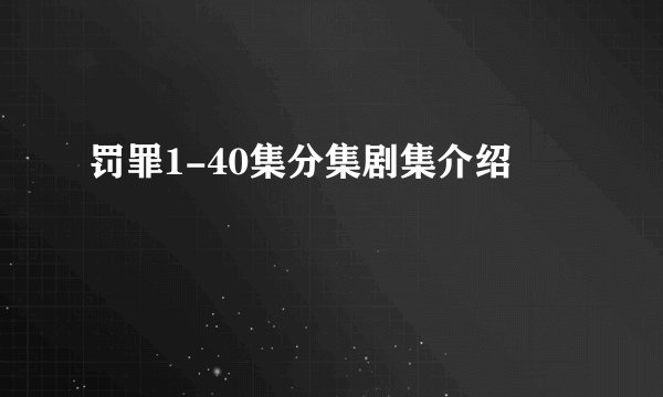 罚罪1-40集分集剧集介绍