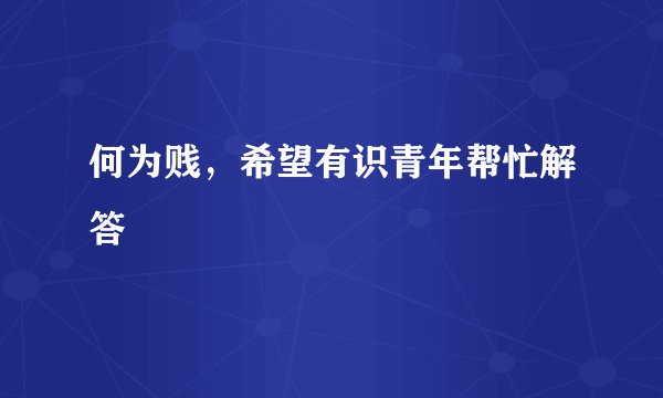 何为贱，希望有识青年帮忙解答