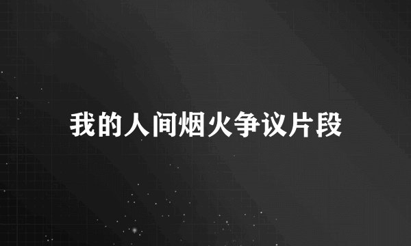 我的人间烟火争议片段