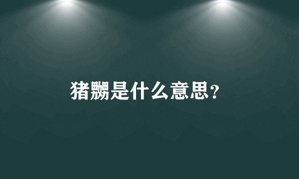 猪嬲是什么意思？