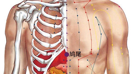 鸠尾的准确位置图片及作用是什么？