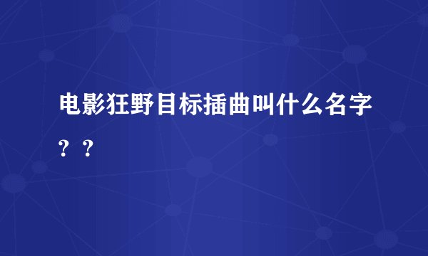 电影狂野目标插曲叫什么名字？？