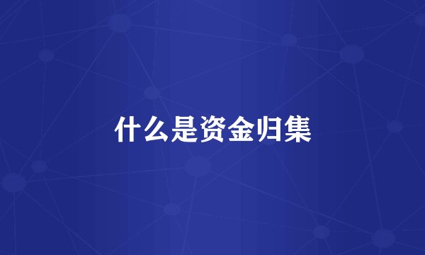 什么是资金归集