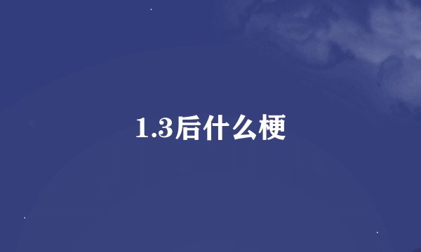1.3后什么梗