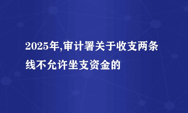 2025年,审计署关于收支两条线不允许坐支资金的