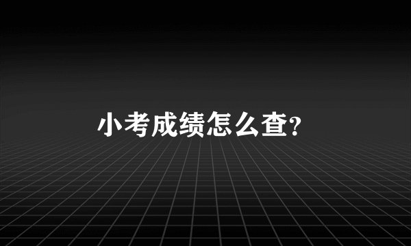 小考成绩怎么查？