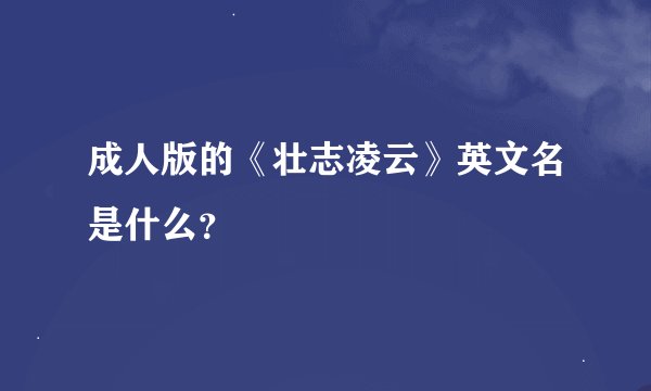 成人版的《壮志凌云》英文名是什么？