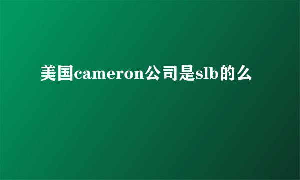 美国cameron公司是slb的么
