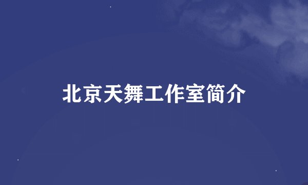 北京天舞工作室简介