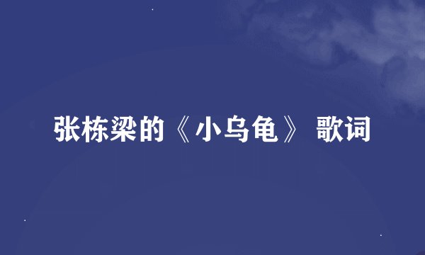 张栋梁的《小乌龟》 歌词