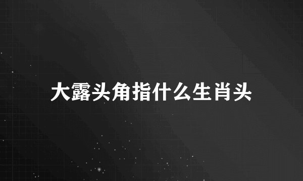 大露头角指什么生肖头