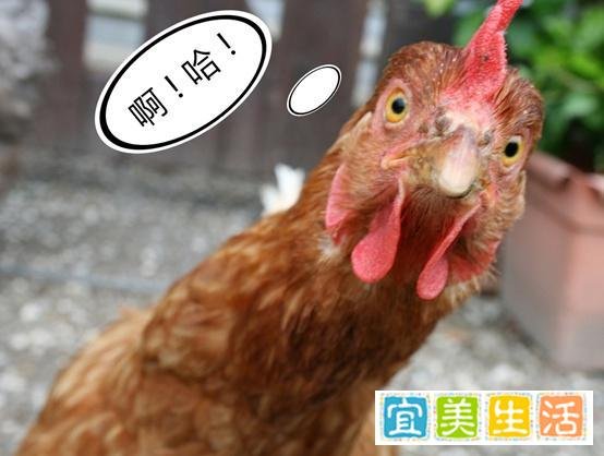我国【辣条班】首次考核，扒一扒英国的“辣（奇）条（葩）”专业