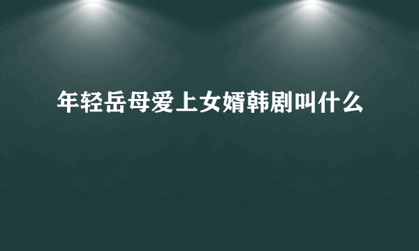 年轻岳母爱上女婿韩剧叫什么