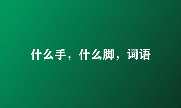 什么手，什么脚，词语