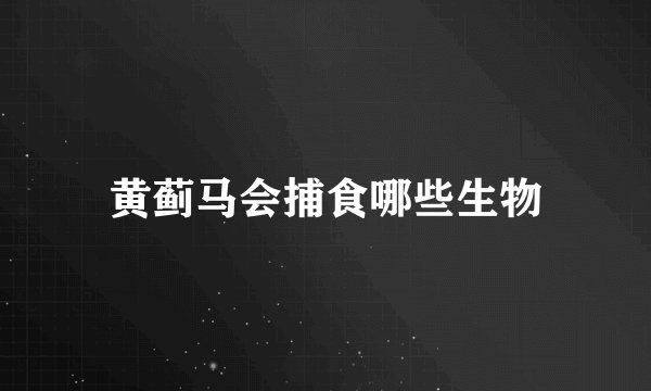 黄蓟马会捕食哪些生物