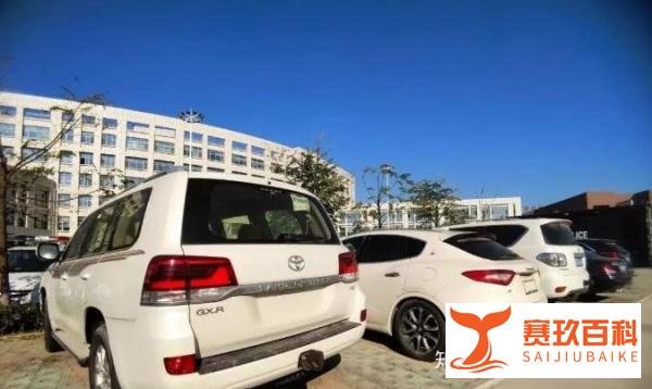 “LCF中国物联网”传销骗局大起底