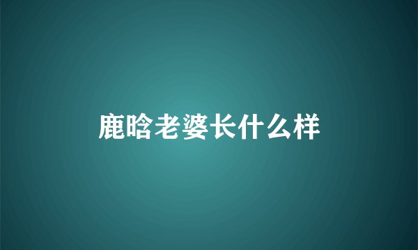 鹿晗老婆长什么样
