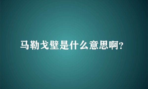马勒戈壁是什么意思啊？