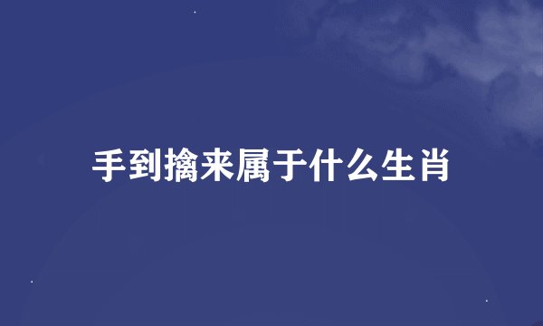 手到擒来属于什么生肖