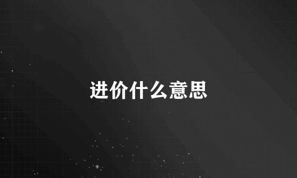 进价什么意思