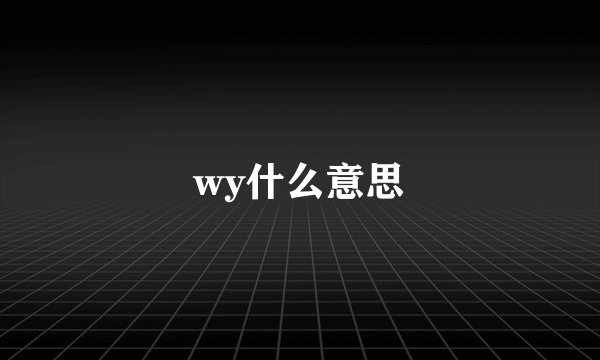 wy什么意思