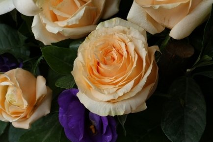 7夕节风俗有哪些