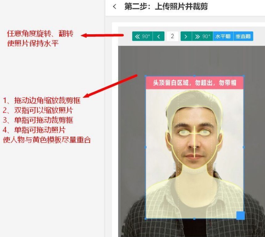 画图怎么把照片裁剪成5寸大小