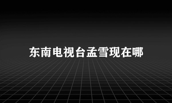 东南电视台孟雪现在哪
