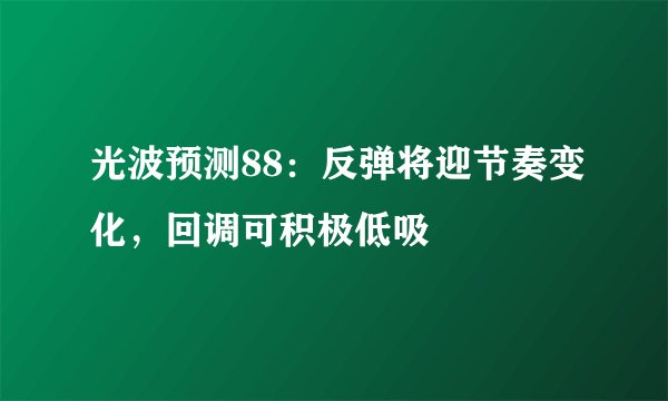 光波预测88：反弹将迎节奏变化，回调可积极低吸