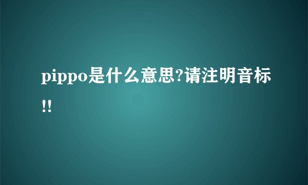 pippo是什么意思?请注明音标!!
